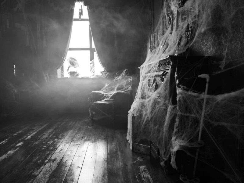 Fort King will play host to a series of kid-friendly activities and spooky stories this weekend as part of a ongoing story series at the park.