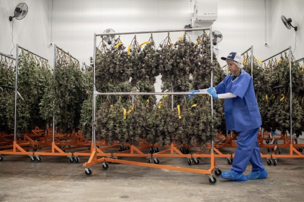 The facility will employ around 100 individuals in various operational roles.