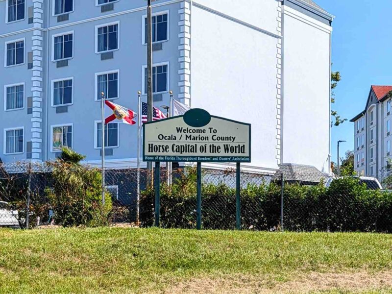 Welcome to Ocala/Marion County Horse Capital of the World sign