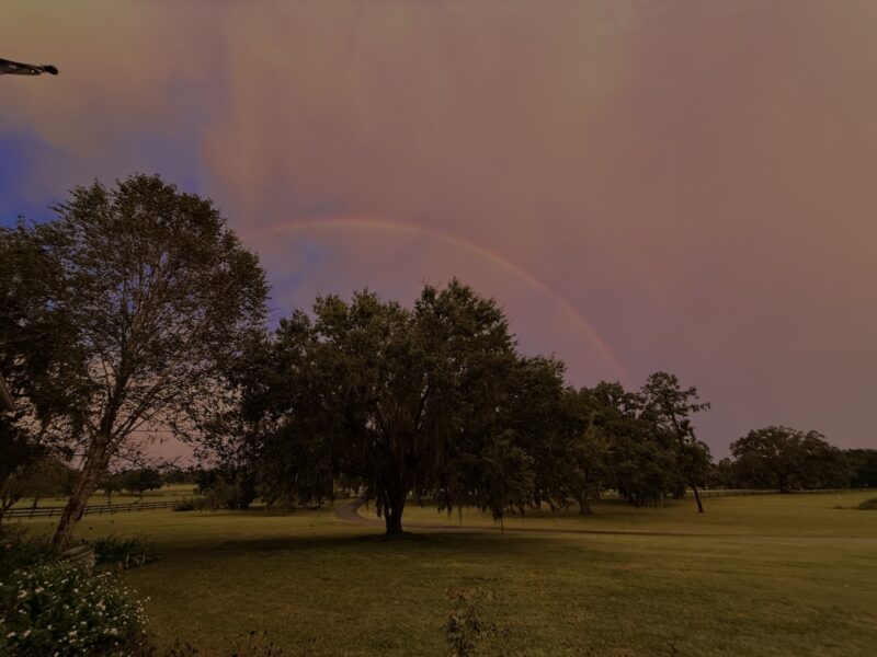 Gradient purple-orange sky and rainbow over northwest Ocala