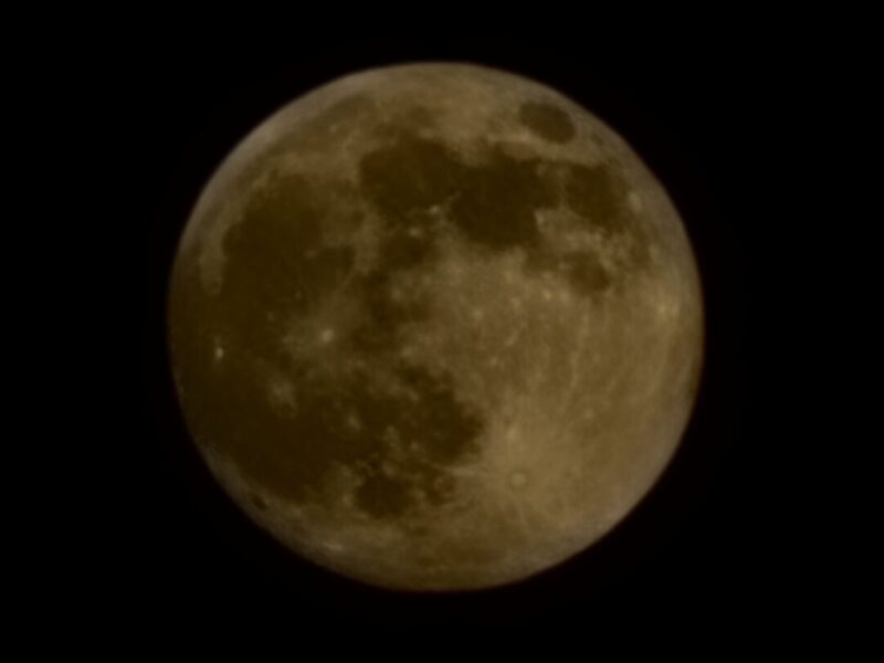 November s supermoon over Ocala’s Glynwood neighborhood
