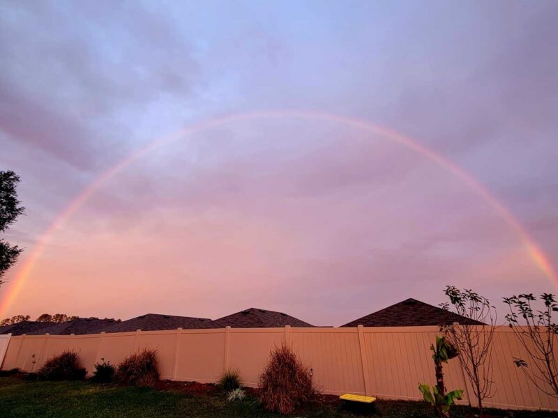 Beautiful rainbow in Ocala backyard