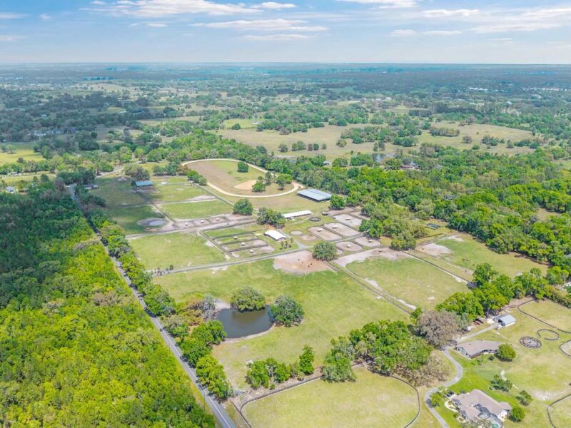 A 77-acre farm in northwest Ocala was just purchased by the owners of the World Equestrian Center for $7.5 million.
