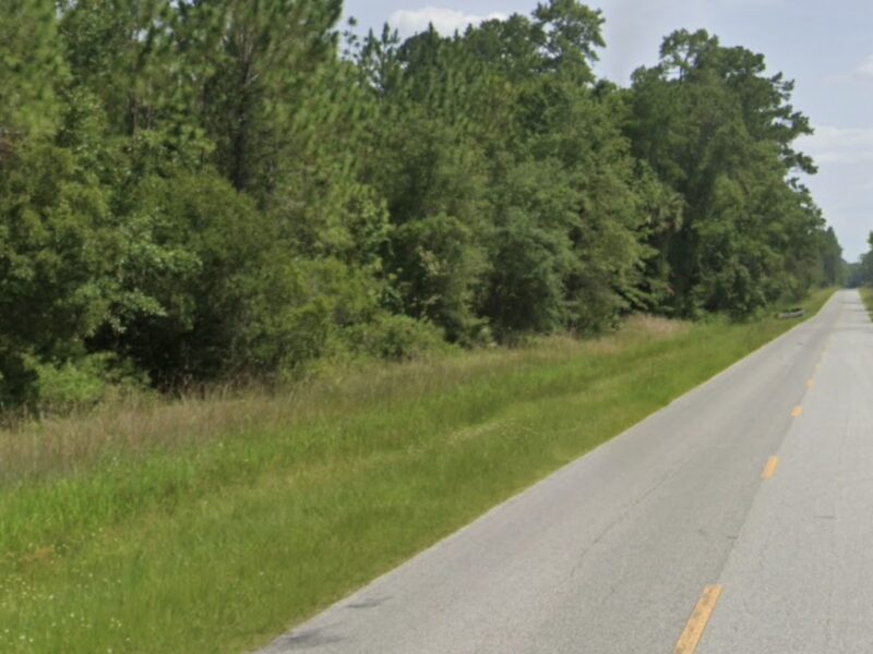 Alco Road in the Ocala National Forest
