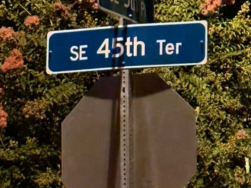 Barred owls perched on street sign in Ocala