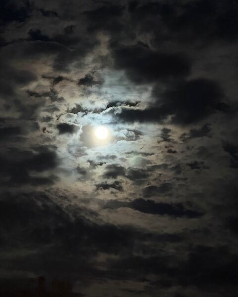 First full moon of the year in Ocala