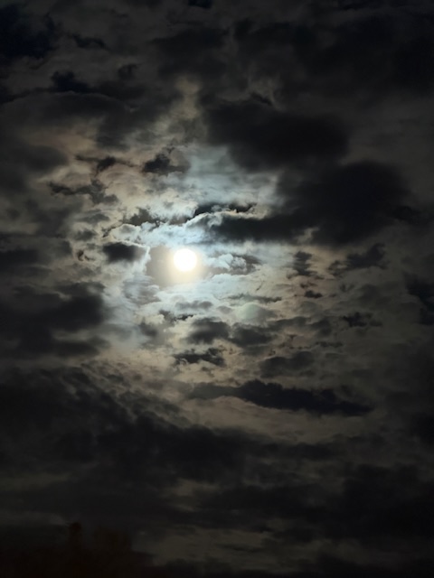 First full moon of the year in Ocala - Ocala-News.com