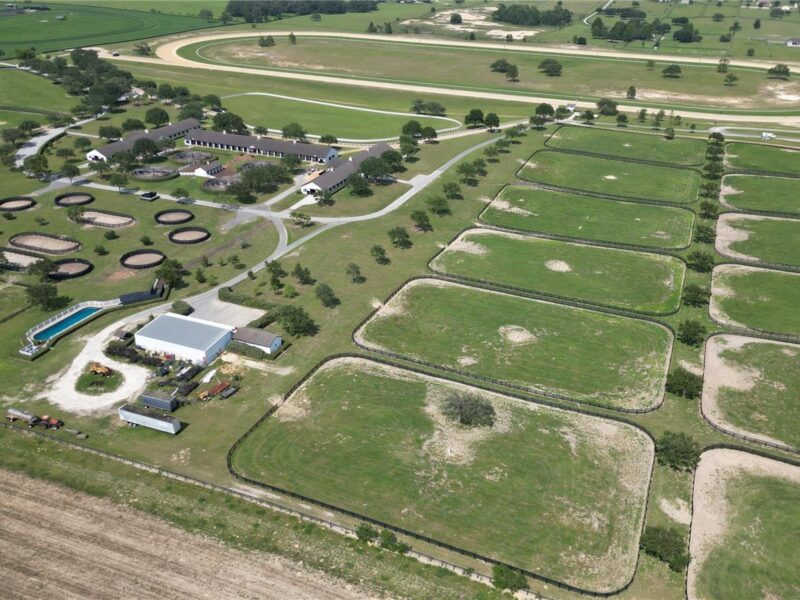 Large horse farm nets $6.5 million in sale