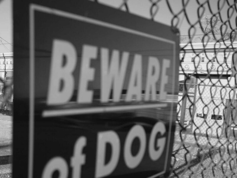 Beware of Dog sign on chain link fence