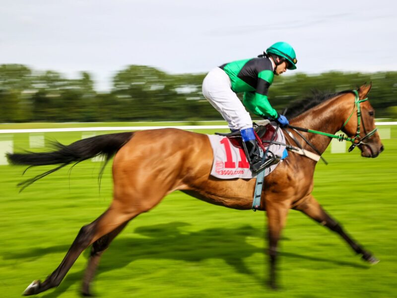 Jockey atop horse