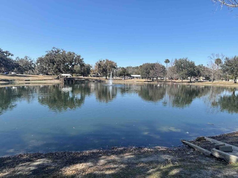 Lake Lillian in Belleview A. Joaquin Delgado