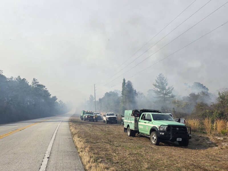 Smoke covers roadway near Ocala National Forest