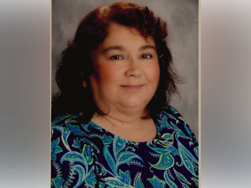 Robin Darlene Stein