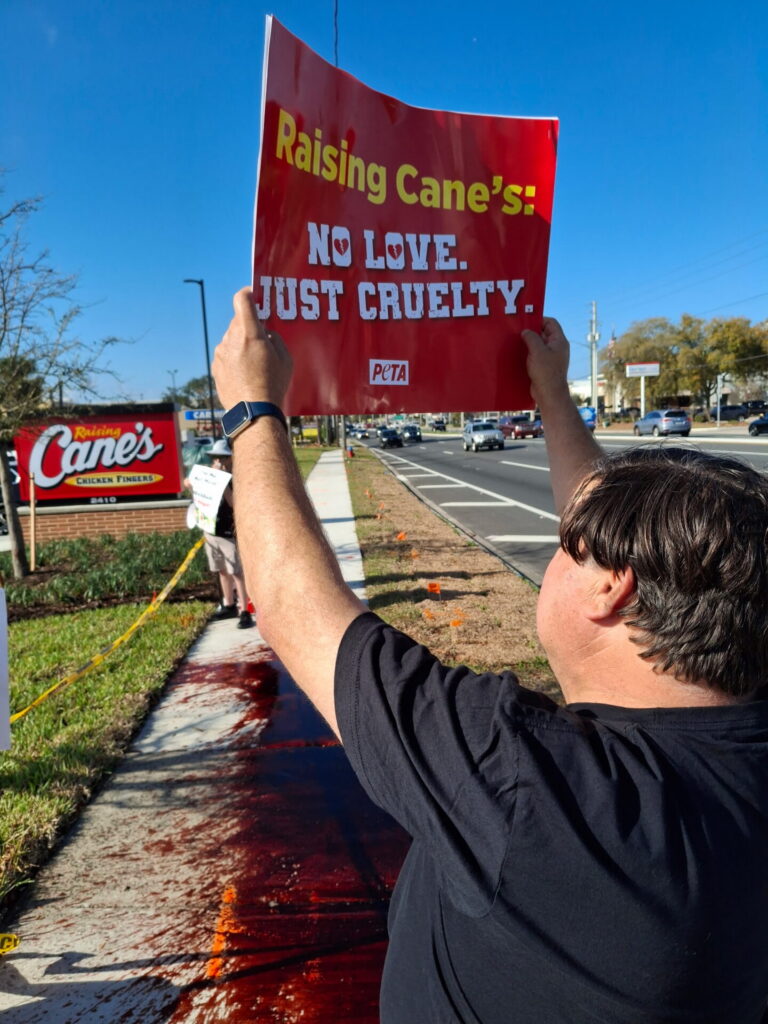 A protestor outside of Raising Cane s