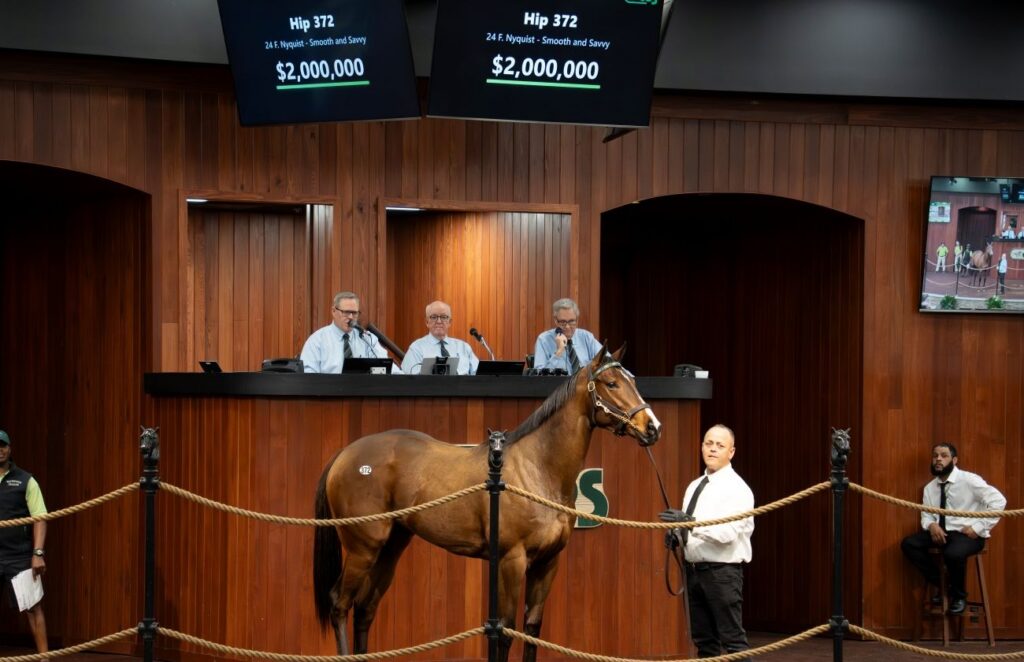 Hip 372, a daughter of Nyquist, sells for $2 million during the OBS March Sale. OBS:VidHorse photo