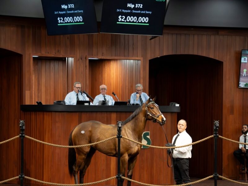 Hip 372, a daughter of Nyquist, sells for $2 million during the OBS March Sale. OBS:VidHorse photo