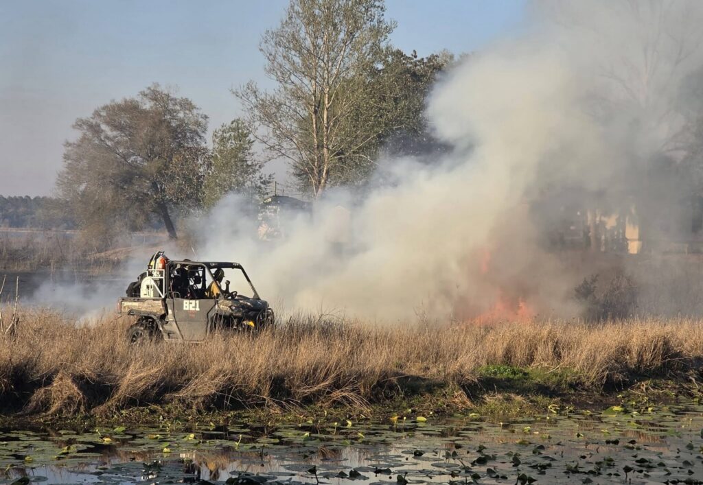 Mill Dam 2 fire 10