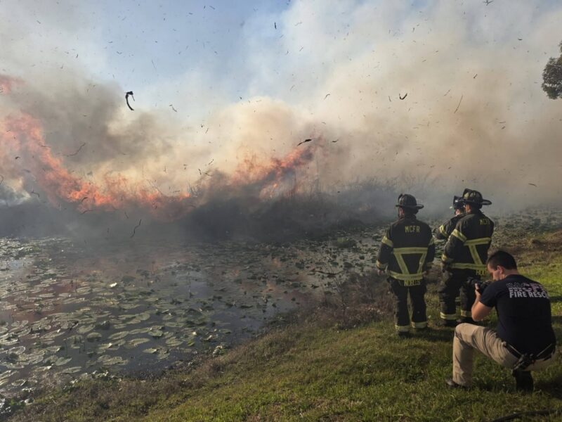 A fire in the Ocala National Forest was confined by firefighters before it reached a local resort.