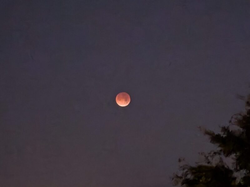 The lunar eclipse lit up the sky this morning across Marion County.