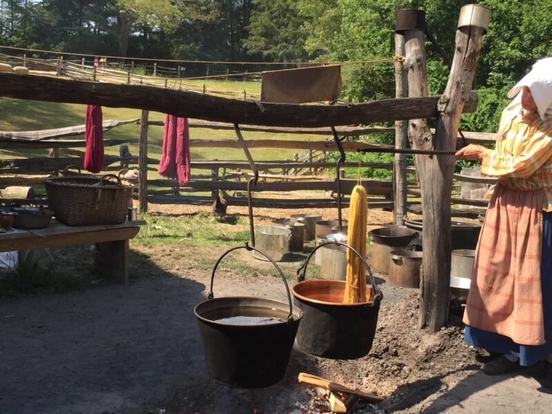 Pioneer woman