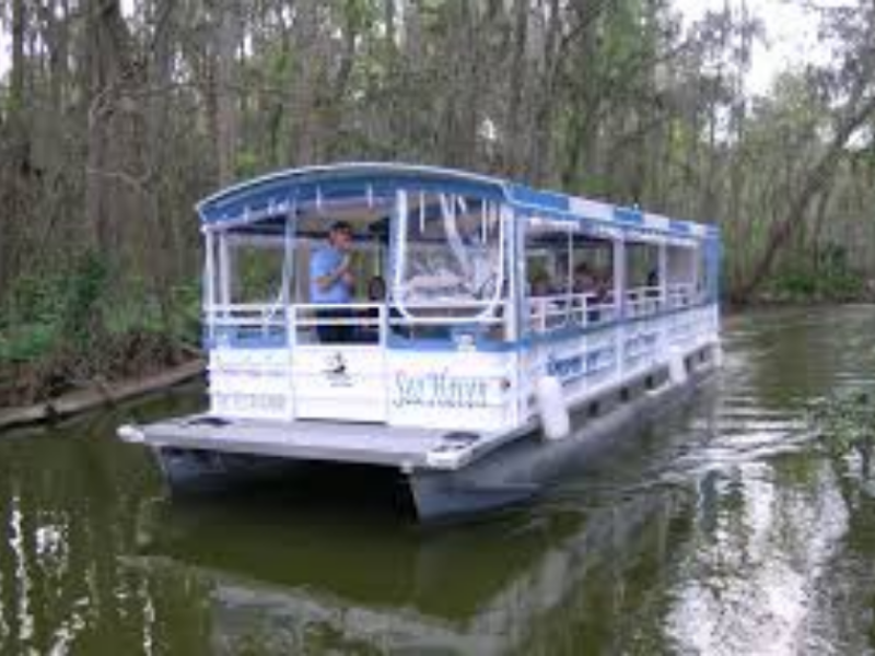 Dora Canal Boat Tour