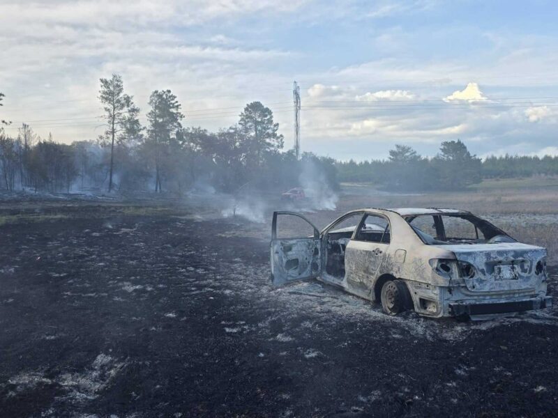 Car fire sparks 5 acre wildfire in the Ocala National Forest on April 25.