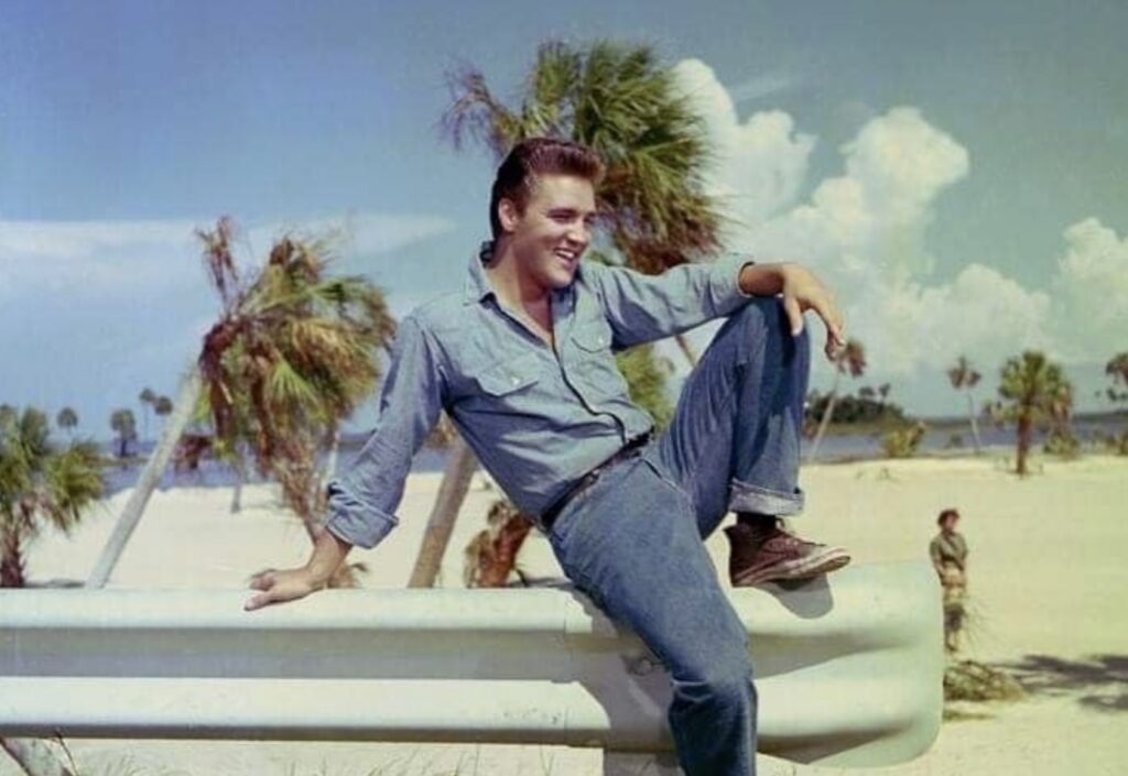 Elvis in Follow That Dream