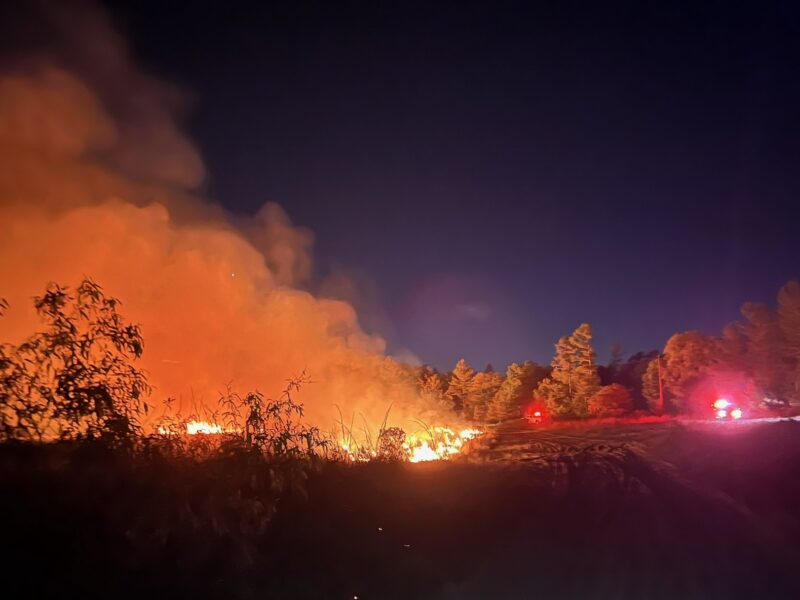 Firefighters work to contain the Grassy Pond 2 Fire after it was ignited by a vehicle exhaust system. USFS Photo.