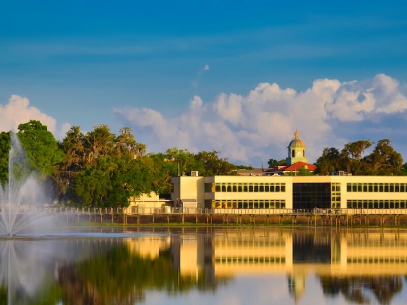 Golden light reflects across Cooter Pond Park