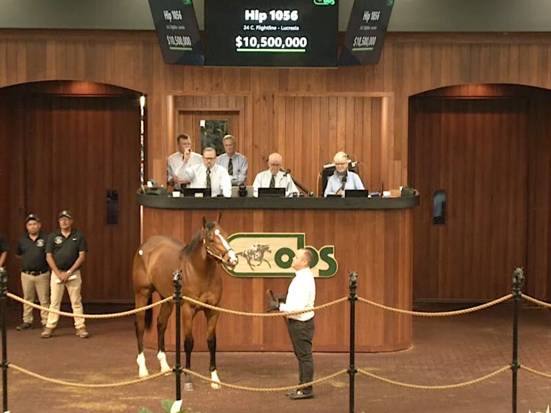 Hip 1056 sells for a record setting $10.5 million during the final day of the Ocala Breeders April Sales event on Friday, April 17.