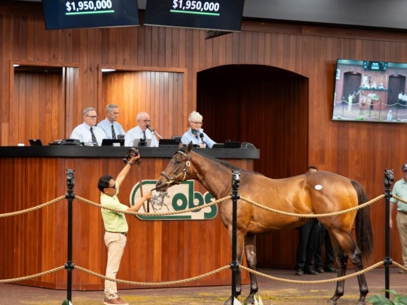 OBS prepares for June auction after generating over $185 million in sales