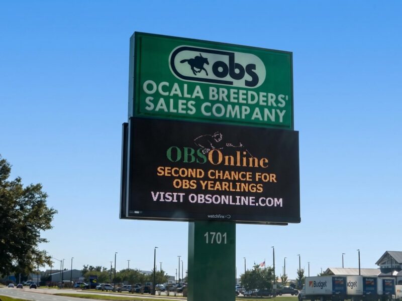 Ocala Breeders Sales Company marquis sign