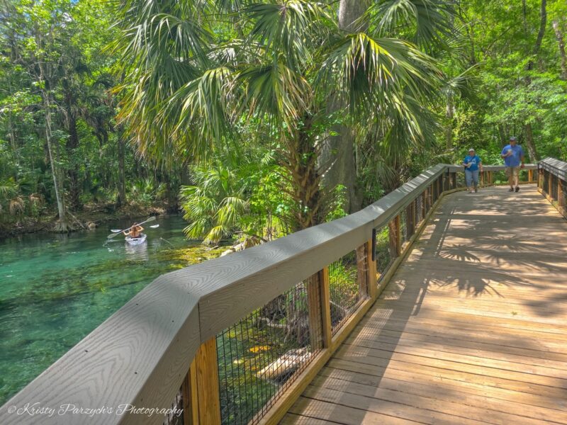 Perfect day for a walk at Silver Springs State Park