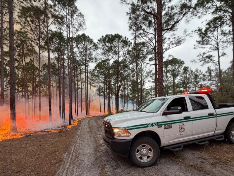 The Gopher Fire in the Ocala National Forest has been 100% contained since last Saturday, March 28