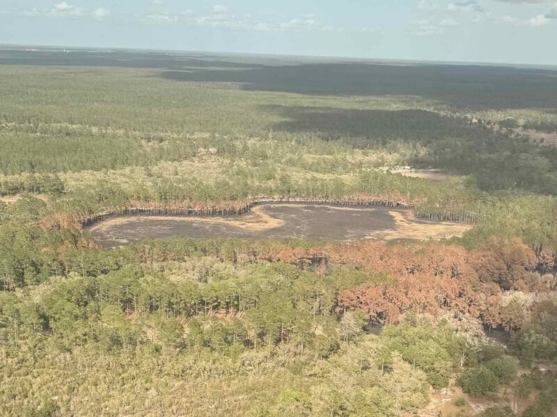 The U.S. Forest Service of Florida shared the attached photos illustrating the diminishing water levels at the Ocala National Forest.