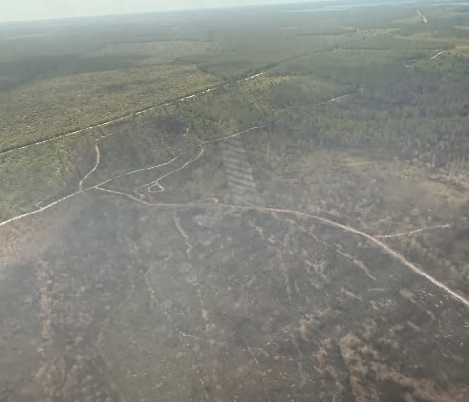 The U.S. Forest Service of Florida shared the attached photos illustrating the diminishing water levels at the Ocala National Forest. 3