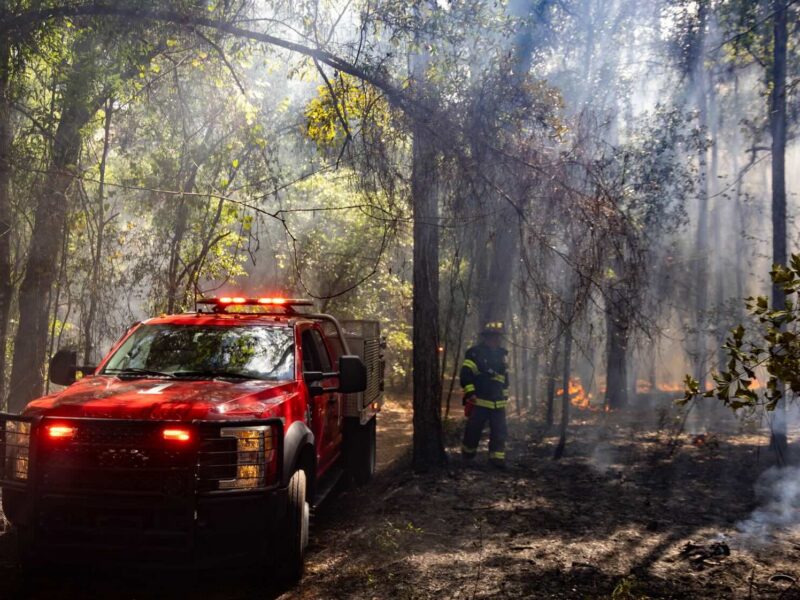 A fire in a wooded area in Silver Springs required a response by Marion County Fire Rescue personnel