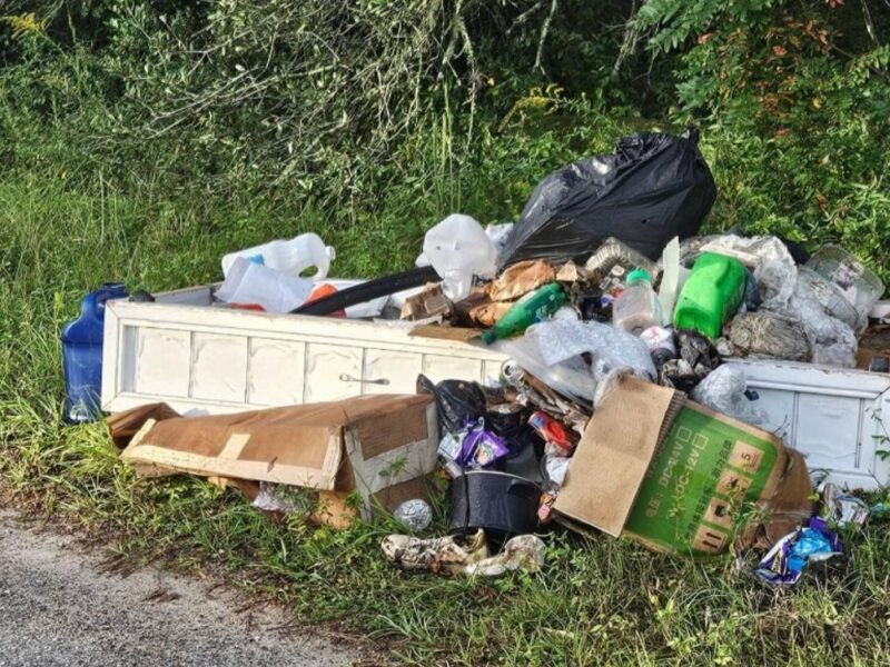 I believe some people treat Marion Oaks like a dump