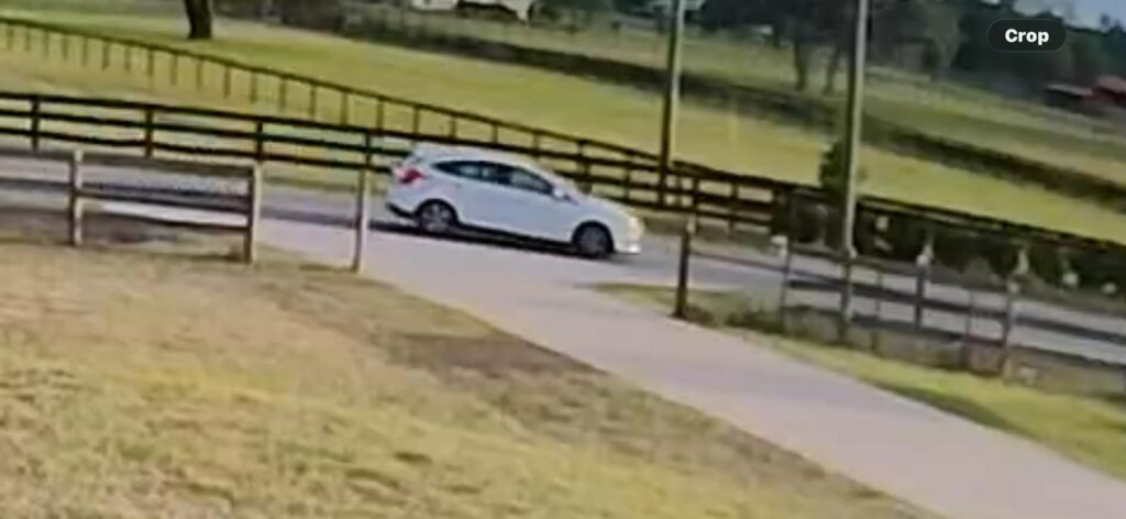 A woman driving this white vehicle stopped and picked up Apollo on April 25