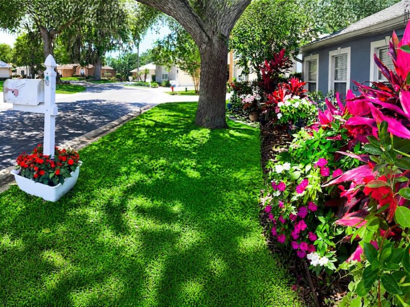 Blooming front yard brightens Lakeview Village in Ocala