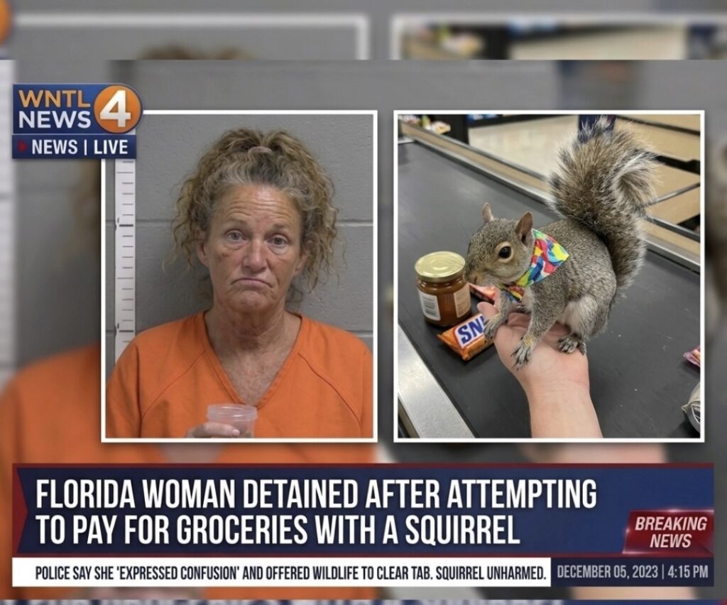 Fake woman accused of using fake squirrel to pay for groceries in Ocala