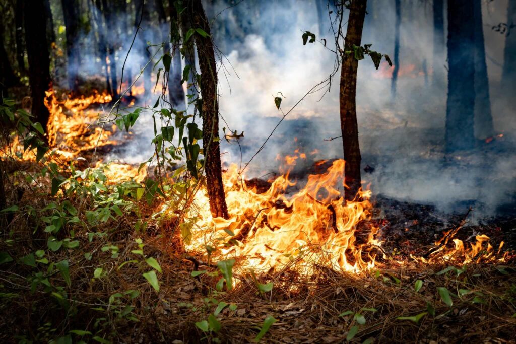 Fire sparks outside in Silver Springs