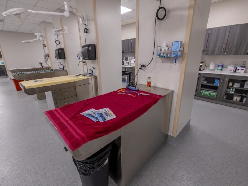 Intake room at the Marion County Animal Services center