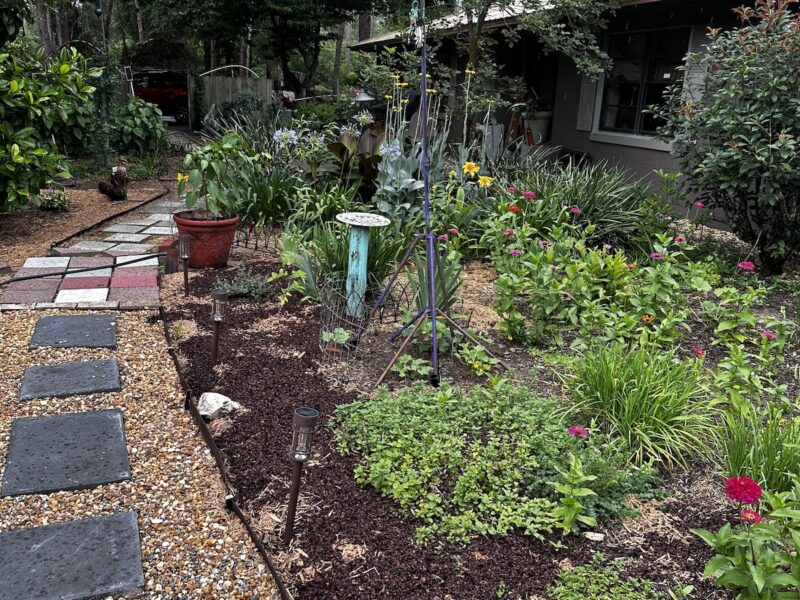 New wildlife-friendly garden project blooms in Fort McCoy