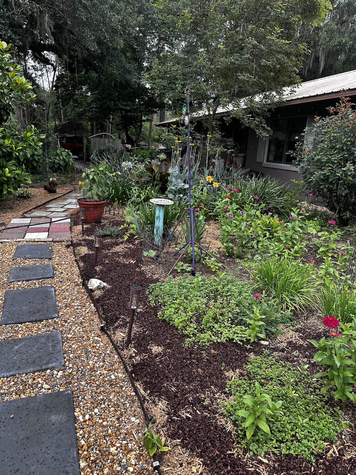 New wildlife-friendly garden project blooms in Fort McCoy New wildlife-friendly garden project blooms in Fort McCoy