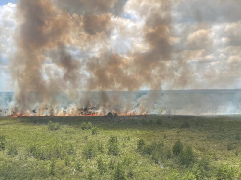 Shell Fire, Ocala National Forest, Wed, 5 27 2026. View of smoke from aerial firing operations within Alexander Springs Wilderness. USFS photo.