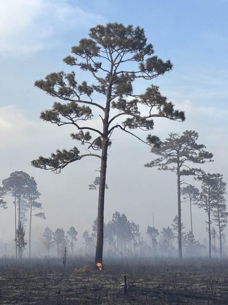 Shell Fire at 7 p.m. on Wednesday, May 27