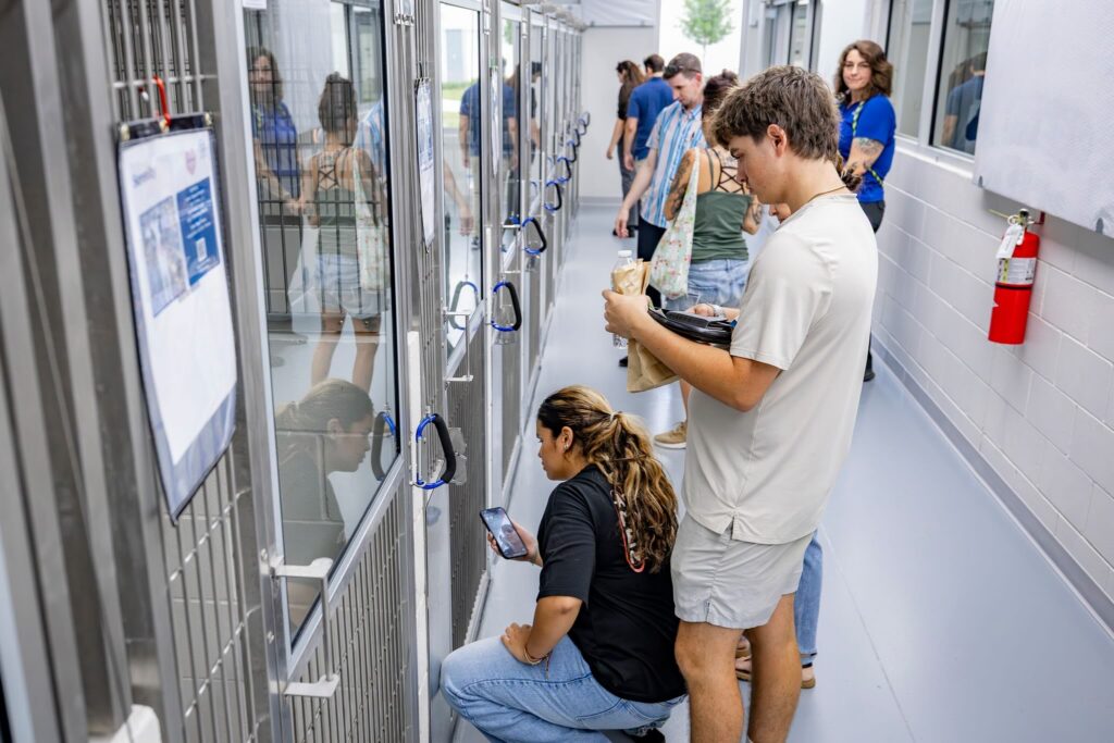 Some of the kennels at the new Marion County Animal Services Center