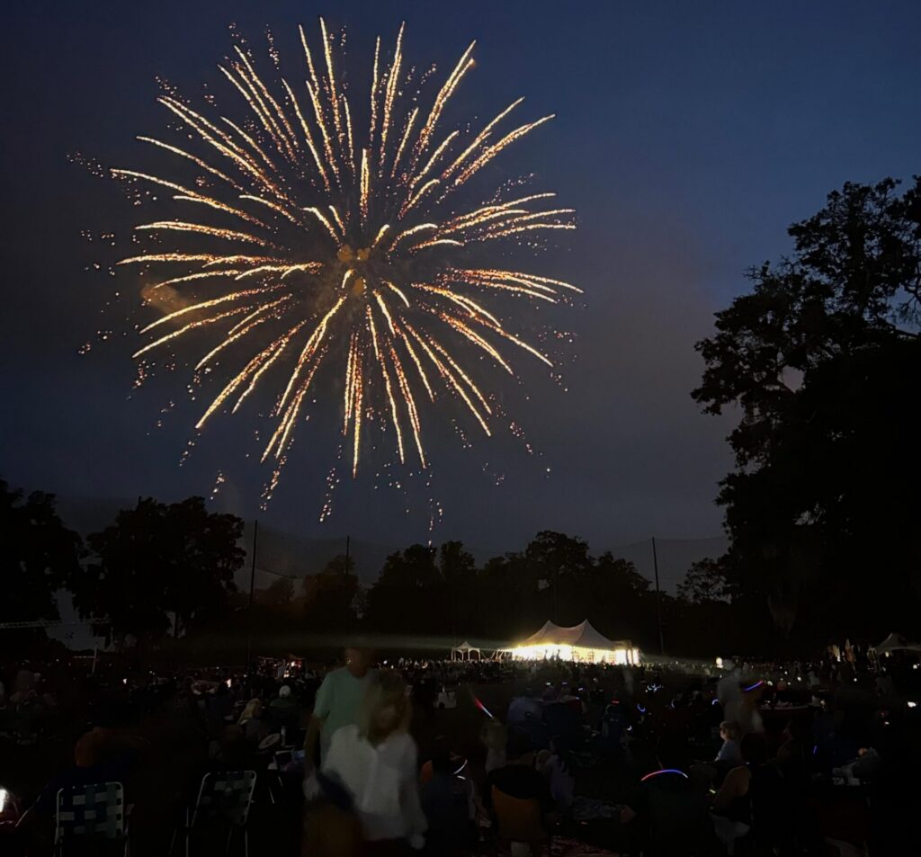 Symphony Under the Stars Photo - Fine Arts for Ocala 2