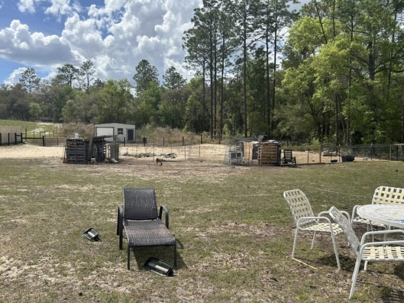 The backyard at the property in Dunnellon